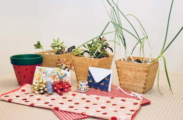Using colorful materials to create personalized plant gifts Using colorful materials to create personalized plant gifts