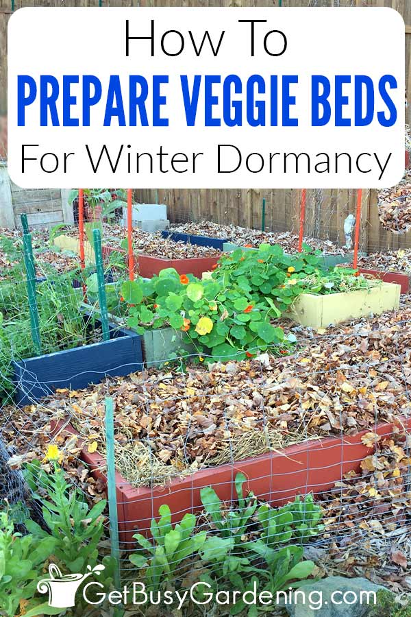 How To Prepare Veggie Beds For Winter Dormancy