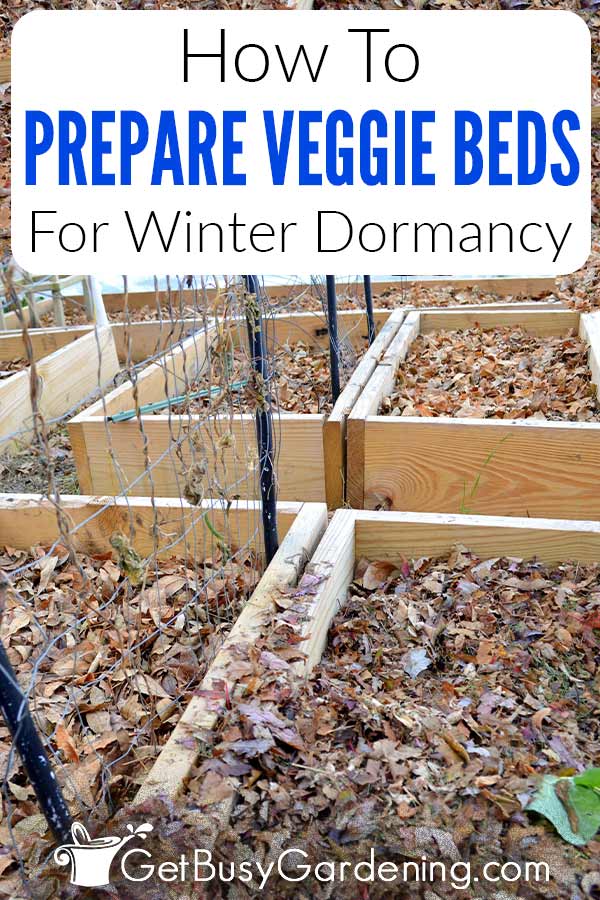 How To Prepare Veggie Beds For Winter Dormancy