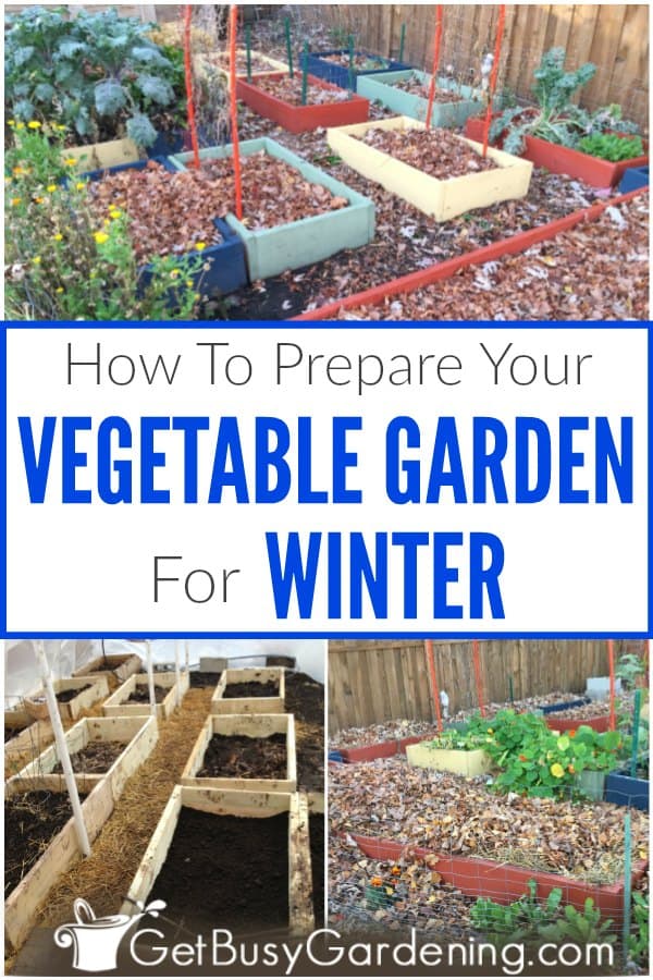 How To Prepare Your Vegetable Garden For Winter