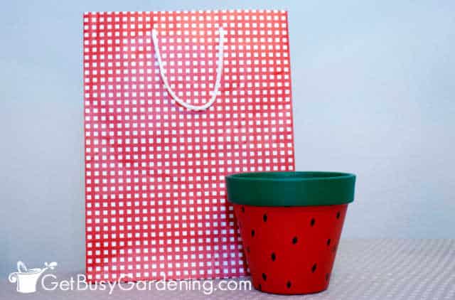 A gift bag with a planter that I decorated