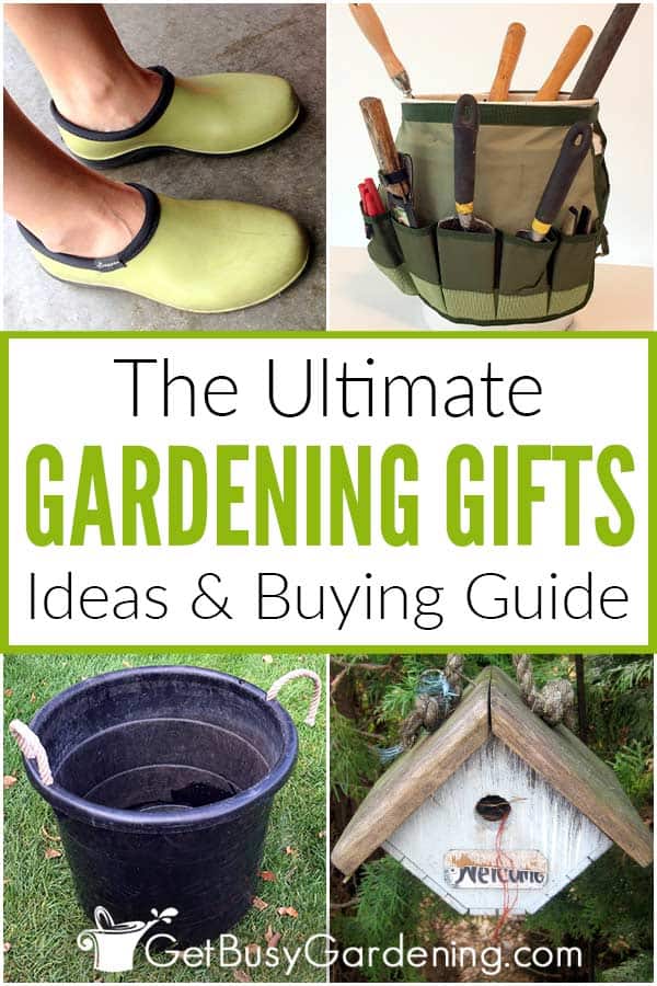 The Ultimate Gardening Gifts Ideas & Buying Guide