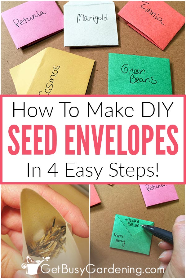 How To Make DIY Seed Envelopes (In 4 Easy Steps)