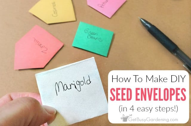 How To Make Diy Seed Envelopes Get Busy Gardening