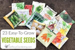 23 Easiest Vegetables To Grow from Seed
