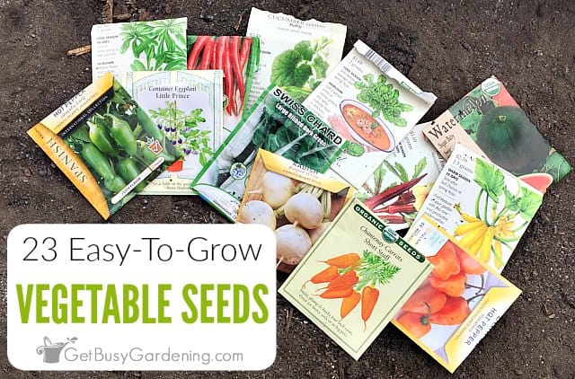 23 Easiest Vegetables To Grow from Seed - Get Busy Gardening
