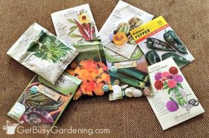 17 Easiest Seeds To Start Indoors - Get Busy Gardening