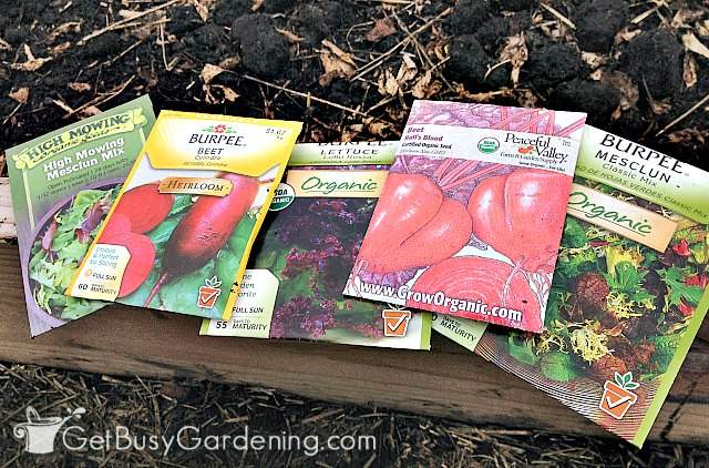 Some of the easiest seeds to plant outside