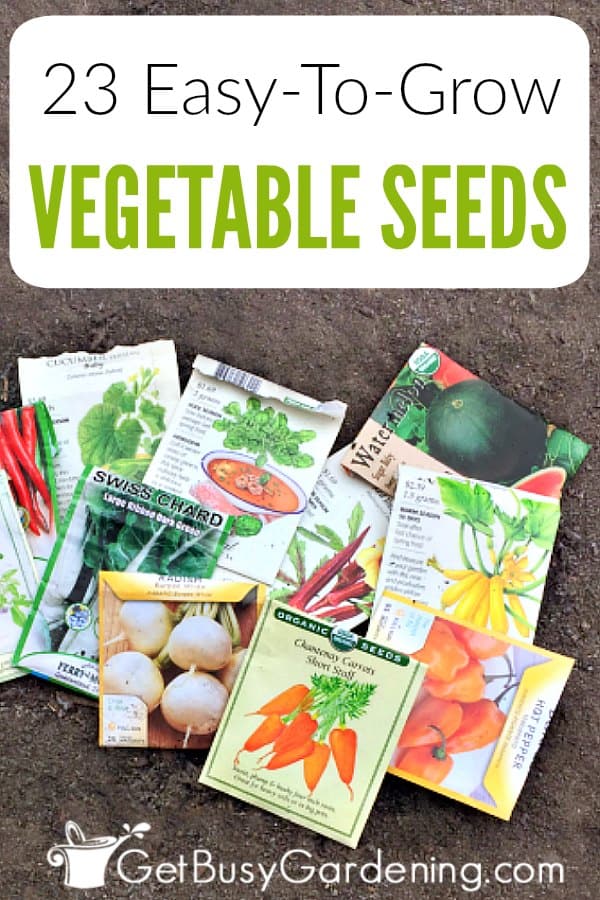 23 Easiest Vegetables To Grow From Seed Get Busy Gardening