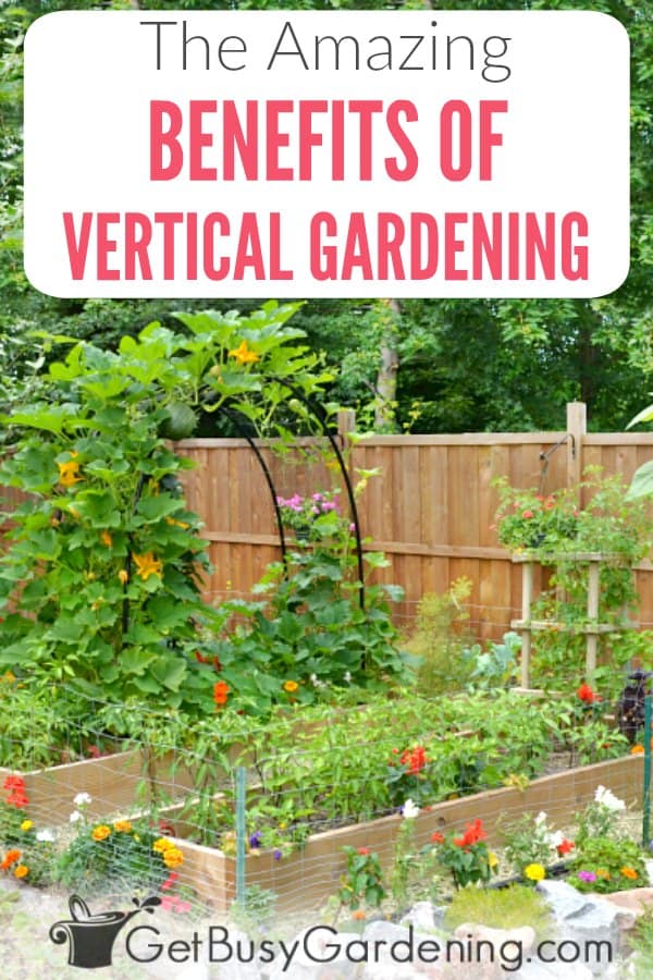 The Amazing Benefits Of Vertical Gardening