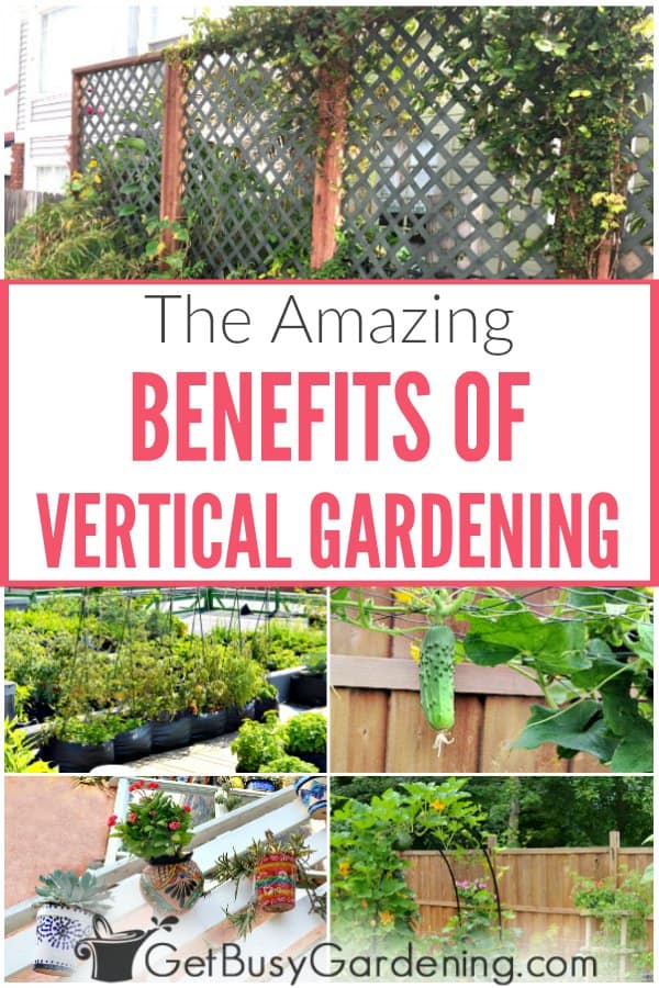 The Amazing Benefits Of Vertical Gardening