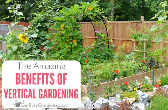 How a Vertical Garden Can Improve Your Health