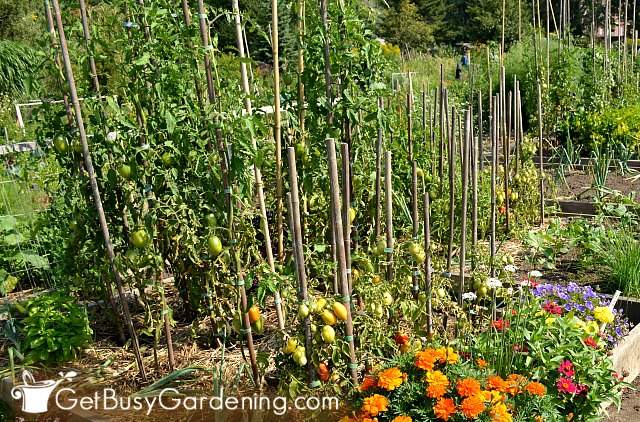 Consider your garden style during DIY vertical garden design