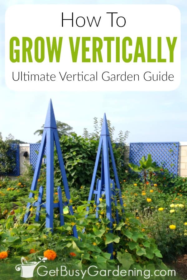 How To Grow Vertically: Ultimate Vertical Garden Guide