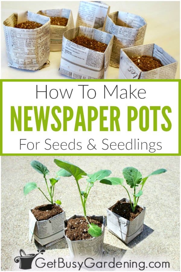 How To Make Newspaper Pots For Seeds & Seedlings