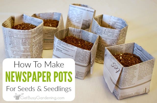 Easy DIY Newspaper Seed Starting Pots