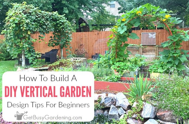 Building A Vertical Garden: DIY Tips For Beginners