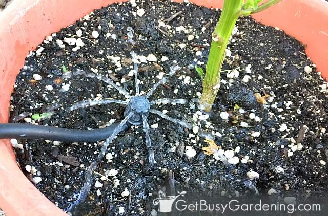 Watering with a drip vertical garden irrigation system