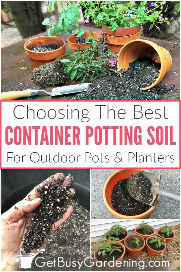 Choosing The Best Container Potting Soil For Outdoor Pots & Planters