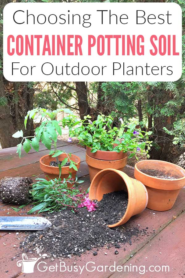 Choosing The Best Container Potting Soil For Outdoor Planters