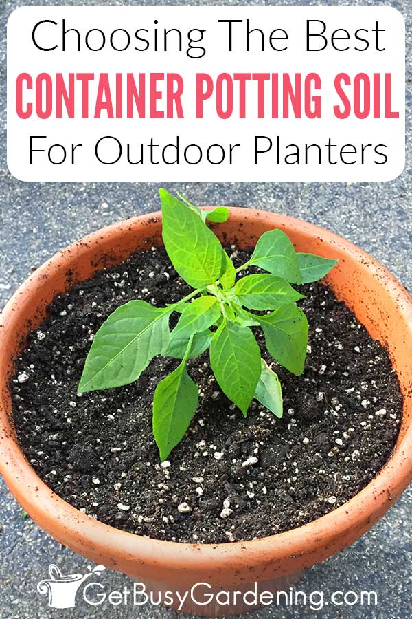 Choosing The Best Container Potting Soil For Outdoor Planters