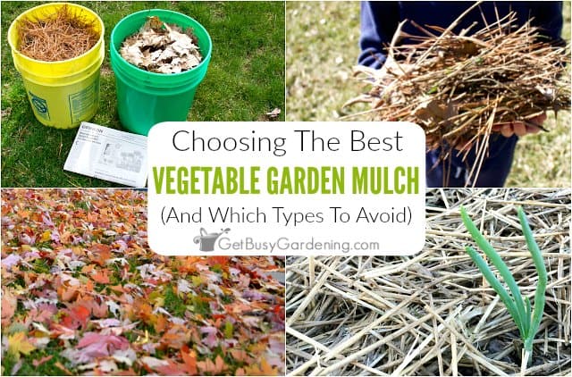 Choosing The Best Mulch For Vegetable Gardens