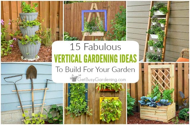 Vertical gardening samples