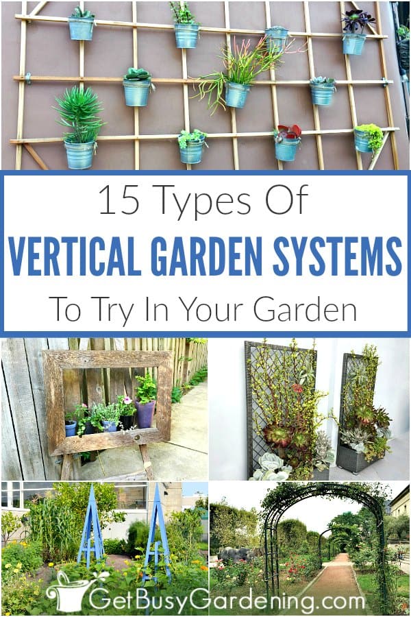 15 Types Of Vertical Gardening Systems Supports Get Busy Gardening