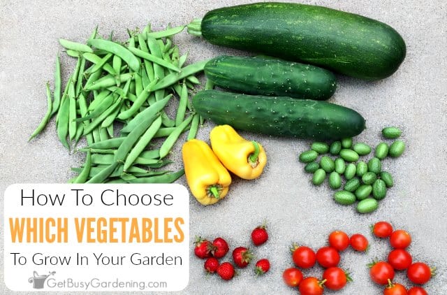How To Decide What To Plant In A Vegetable Garden