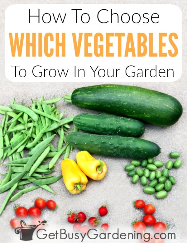 How To Choose Which Vegetables To Grow In Your Garden