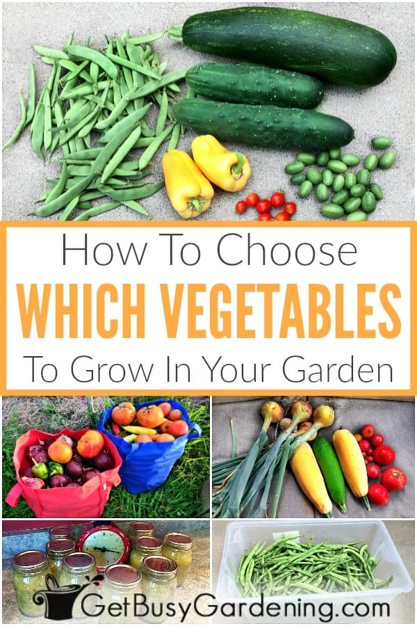 How To Choose Which Vegetables To Grow In Your Garden