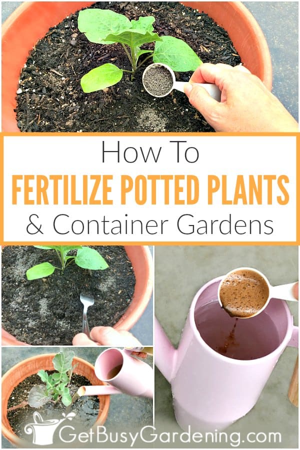 How To Fertilize Potted Plants & Container Gardens