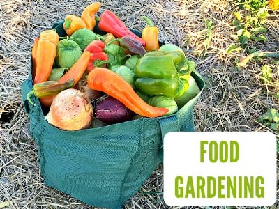 Food Gardening