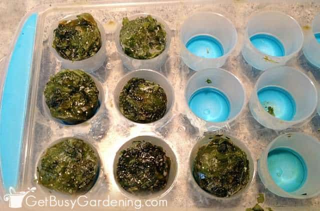 Frozen herbs in ice cube trays