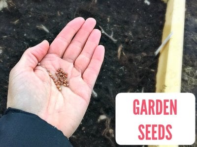 Gardening Seeds
