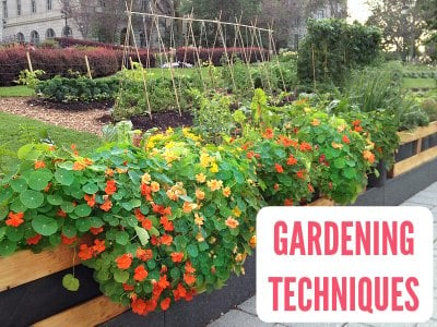 Gardening Techniques