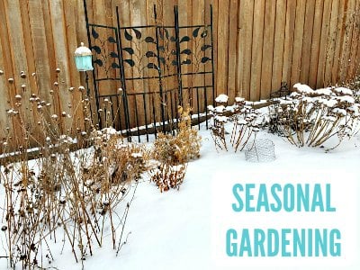 Seasonal Gardening