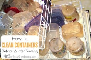 How To Clean Winter Sowing Containers