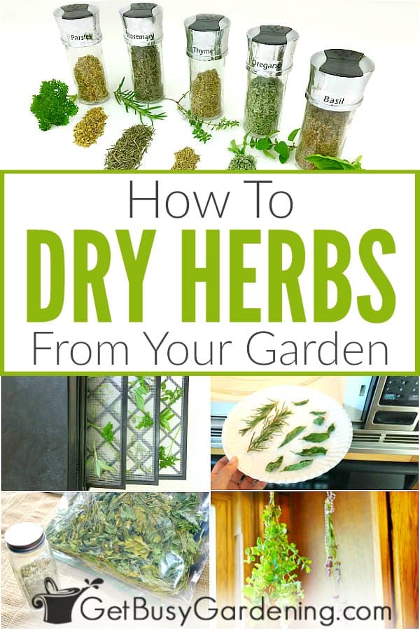 How To Dry Herbs From Your Garden