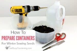 How To Prepare Containers For Winter Sowing