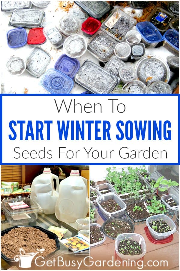 When to start winter sowing seeds for your garden