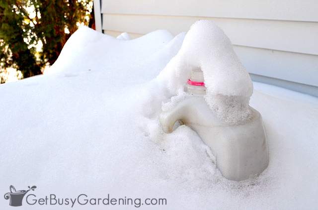 Winter sown jugs covered in snow outside on my deck.