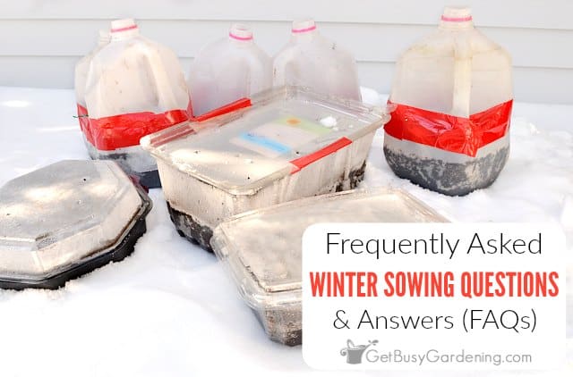 Mold in Cold Temperatures: 9 Common Winter Mold Questions