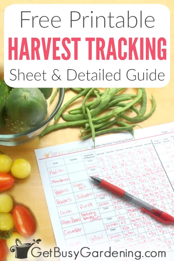 Free Printable Harvest Tracking Sheet & Detailed Guide
