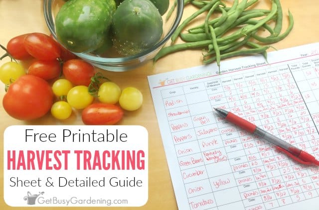 Free Printable Garden Harvest Tracking Sheet & Guide