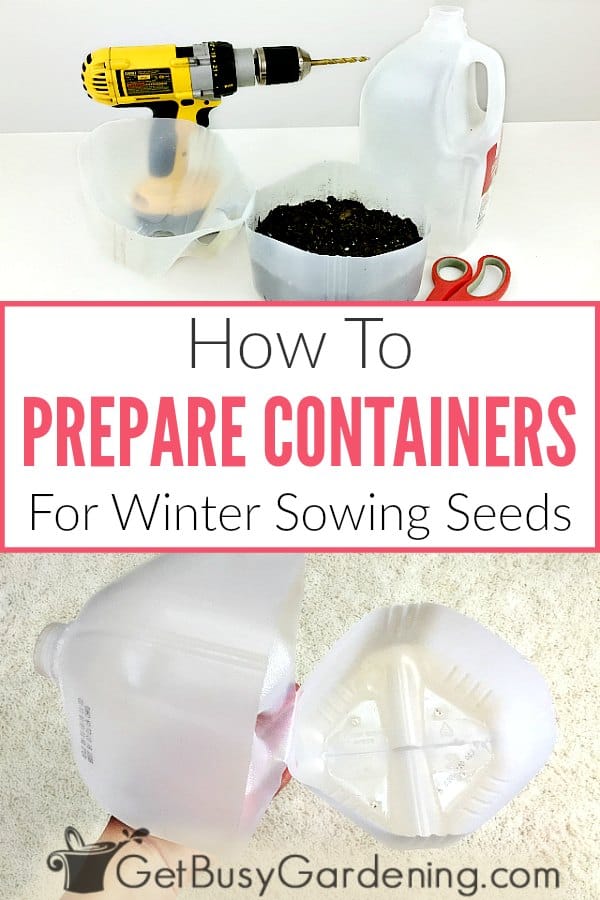 How To Prepare Containers For Winter Sowing Seeds