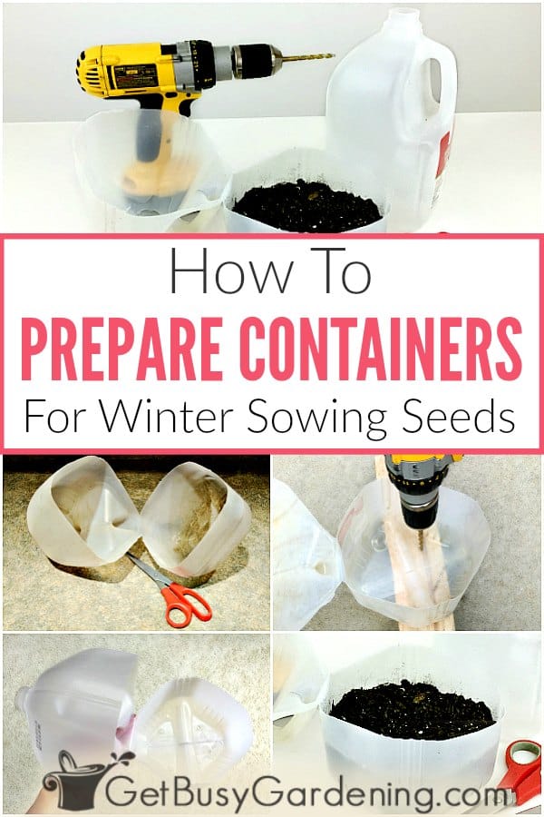 How To Prepare Containers For Winter Sowing Seeds