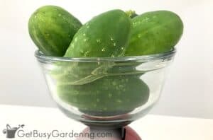 Free Garden Harvest Tracking Sheet &amp; Guide - Get Busy Gardening