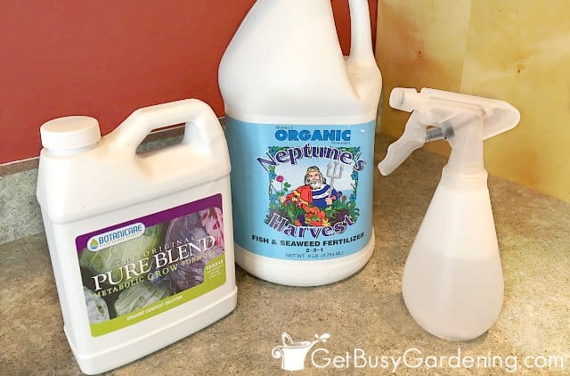 Natural fertilizers to feed my indoor plants in the spring
