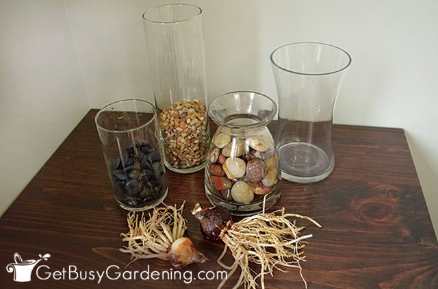 Supplies for planting amaryllis bulbs in water